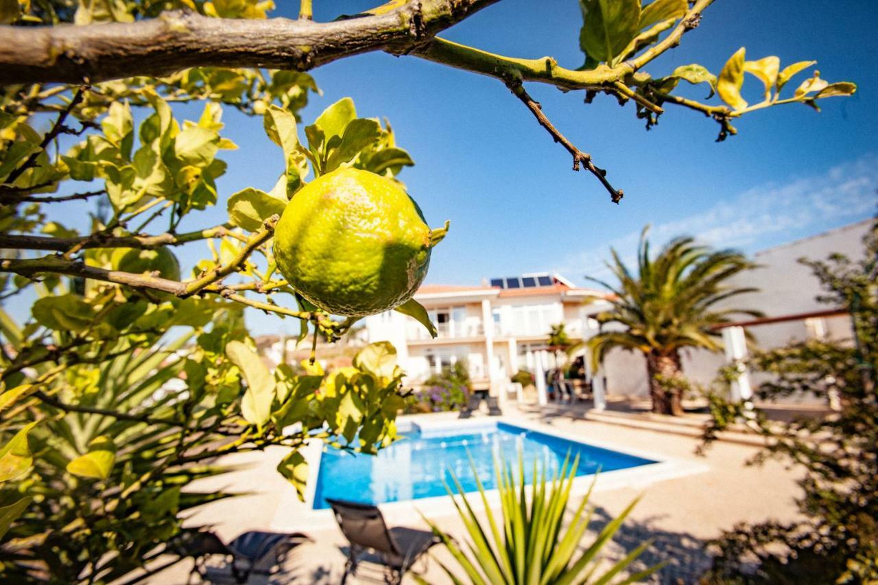 Raposeira  Casa Do Pocinho 아파트 외부 사진